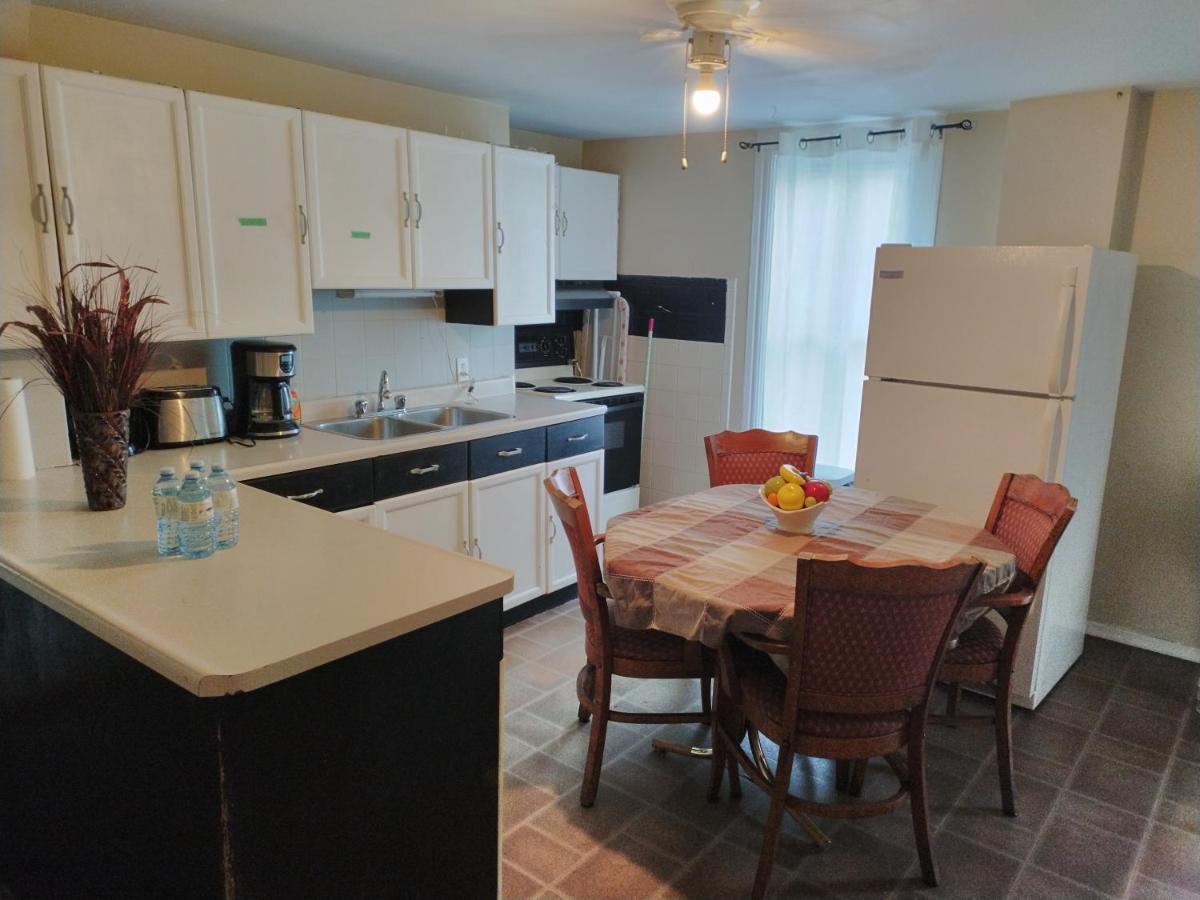 Cozy Downtown Two Bedrooms Free Parking 金斯顿 外观 照片