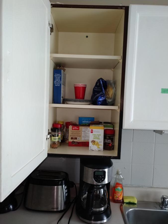 Cozy Downtown Two Bedrooms Free Parking 金斯顿 外观 照片