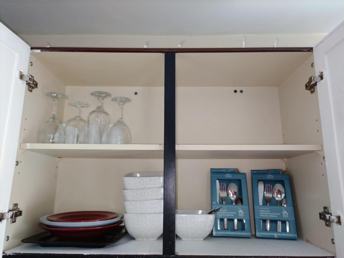 Cozy Downtown Two Bedrooms Free Parking 金斯顿 外观 照片