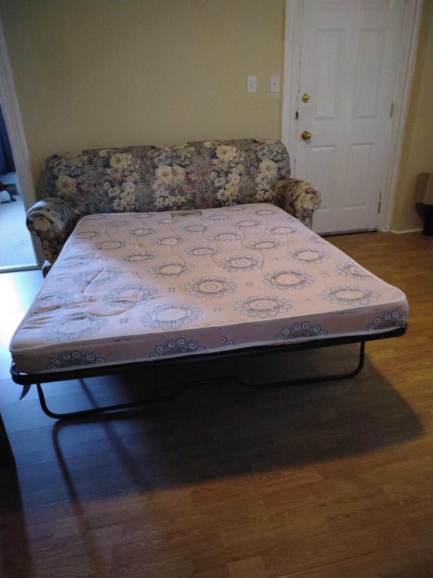 Cozy Downtown Two Bedrooms Free Parking 金斯顿 外观 照片