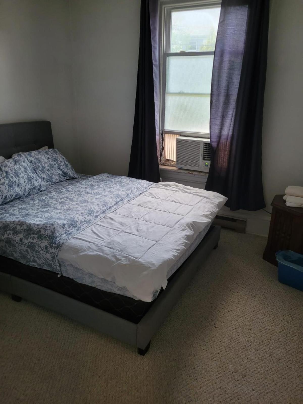 Cozy Downtown Two Bedrooms Free Parking 金斯顿 外观 照片