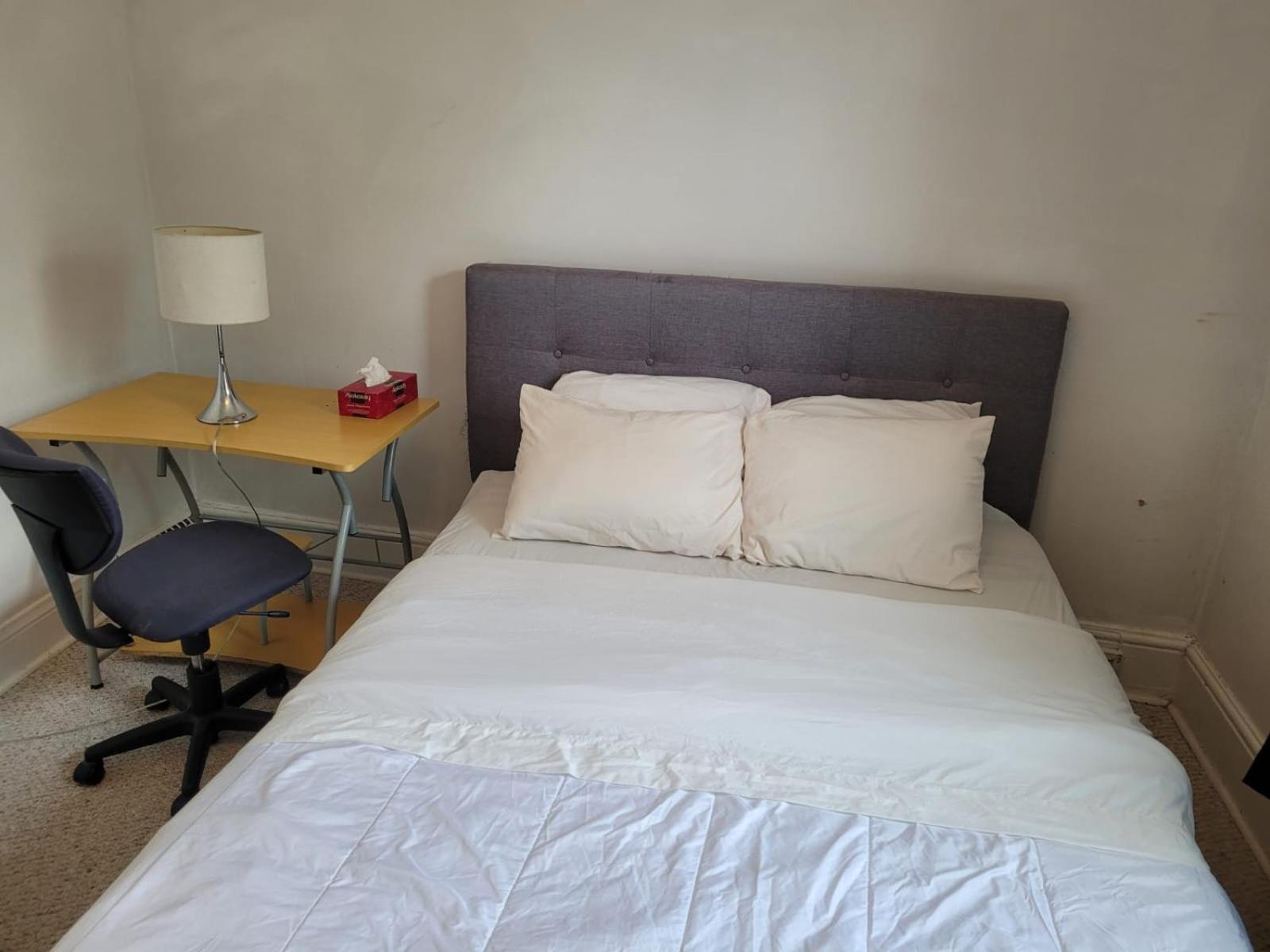 Cozy Downtown Two Bedrooms Free Parking 金斯顿 外观 照片