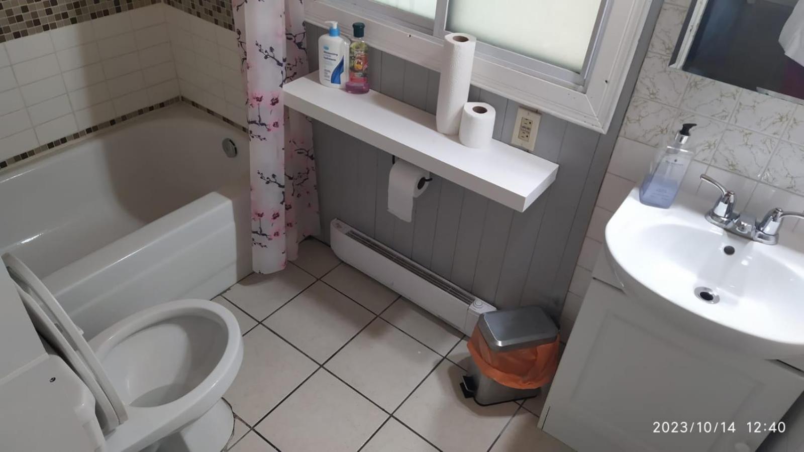 Cozy Downtown Two Bedrooms Free Parking 金斯顿 外观 照片