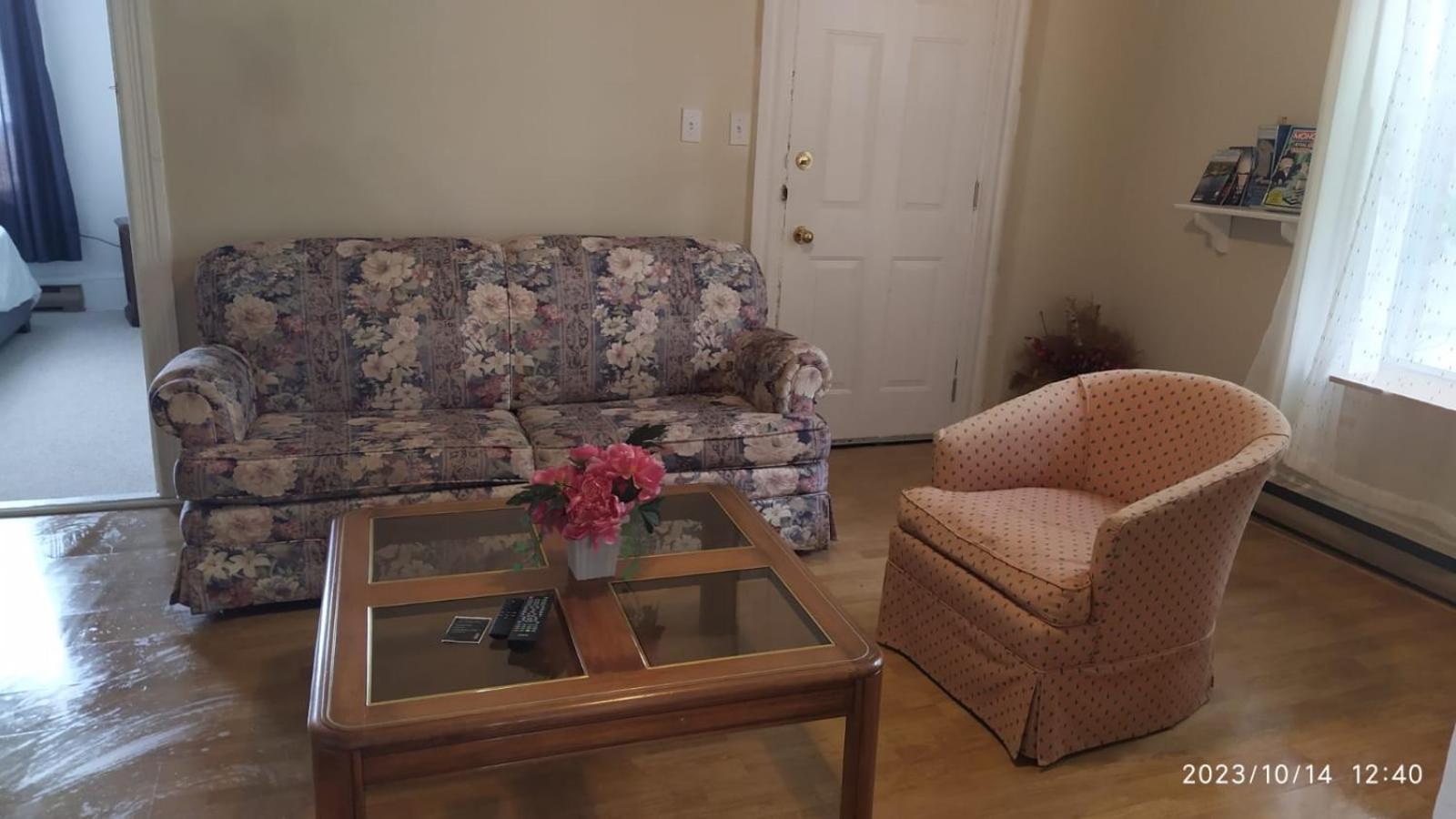 Cozy Downtown Two Bedrooms Free Parking 金斯顿 外观 照片